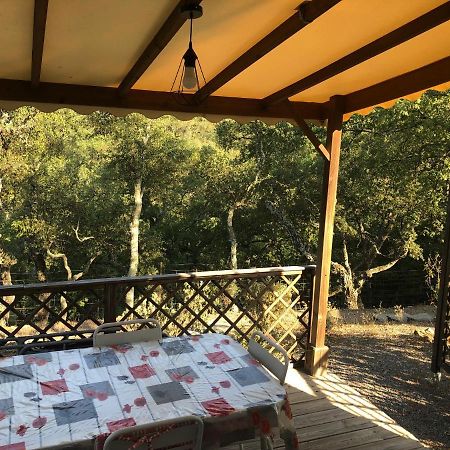 Camping De Parpaillon Рокбрюн-сюр-Аржан Екстер'єр фото